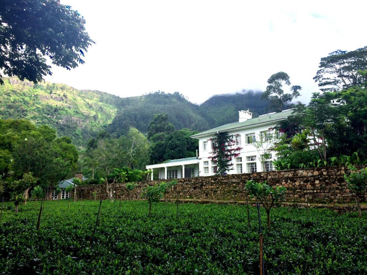 The Planters House Hotel Koslanda Exterior photo